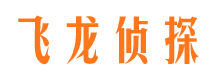 广平飞龙私家侦探公司